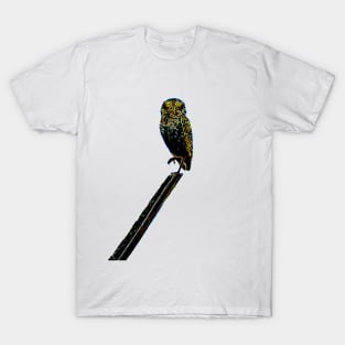 owl T-Shirt